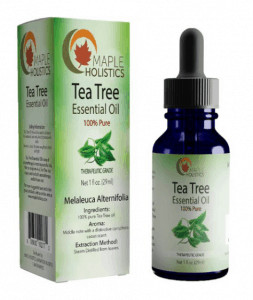 Maple Holistics tea tree essential oil.
