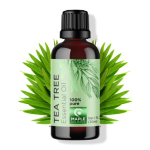 tea tree essential oil