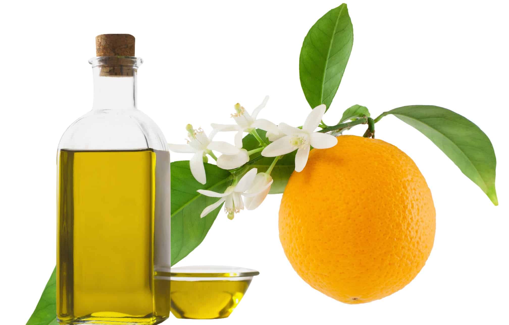 The Health Benefits Of Neroli Essential Oil Explained