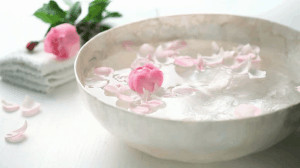 Bowl of oil with rose petals. 