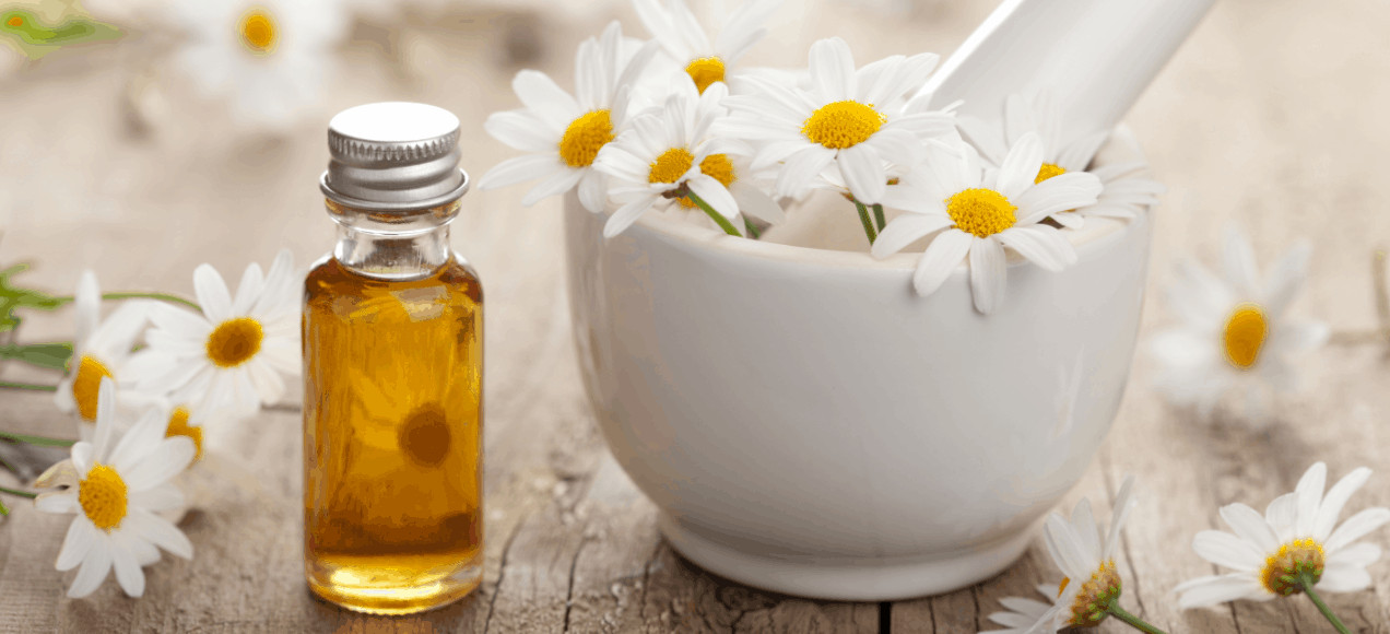 The Benefits of Chamomile Oil: The Gentle Giant