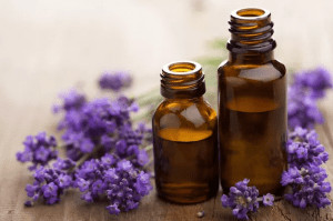 Lavender essential oil