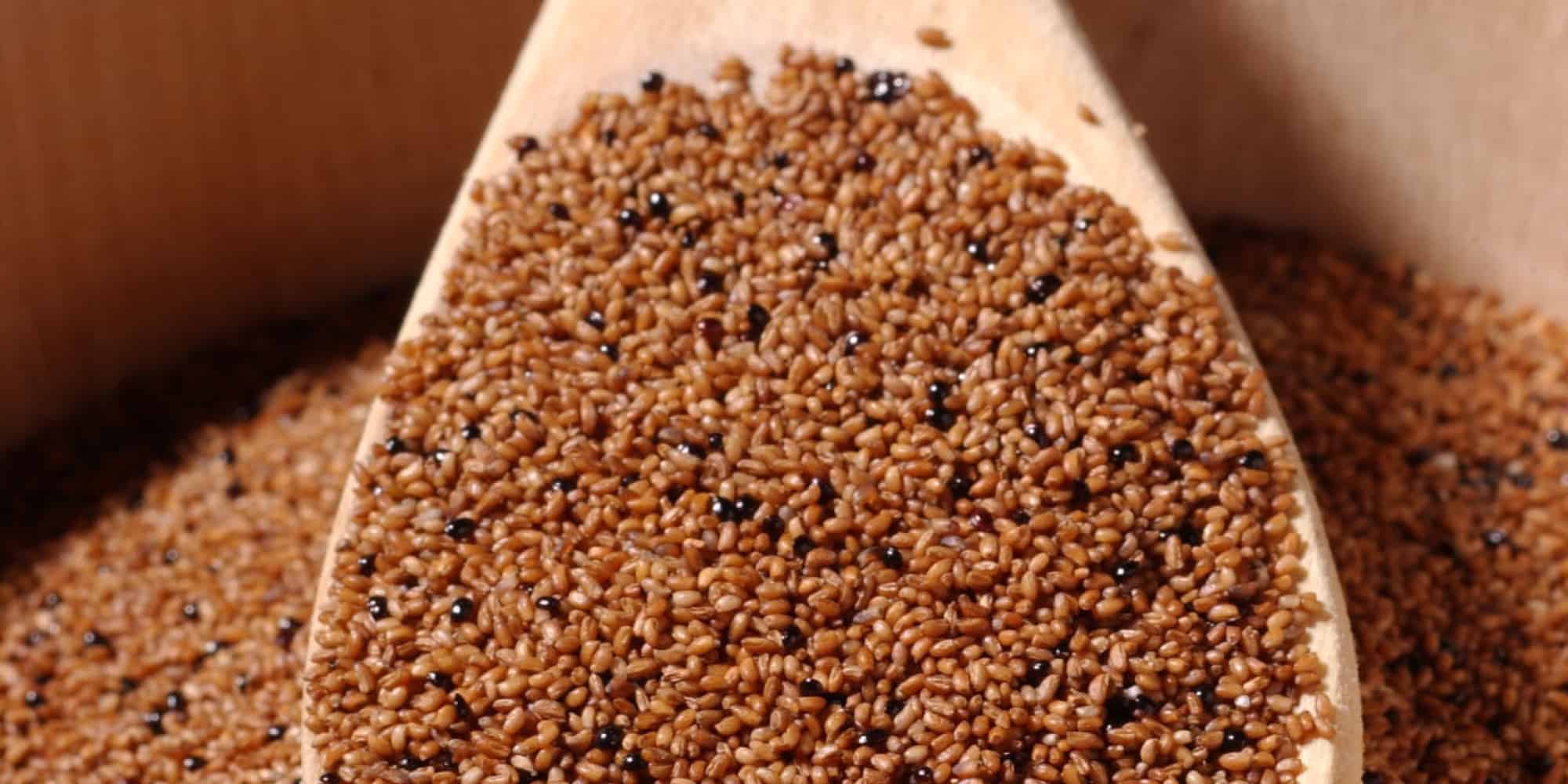 Teff Grain Nutrition