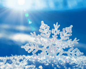 Snow flake. 