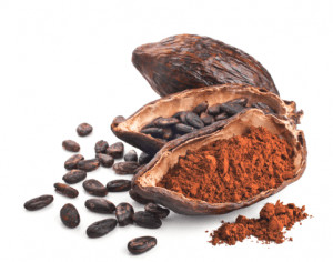 Cocoa powder