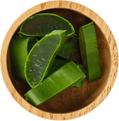 Aloe vera in a bowl.