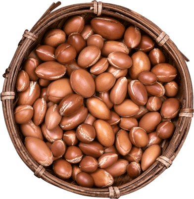 Argan nuts in a bowl.