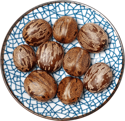 Castor seeds in a bowl.