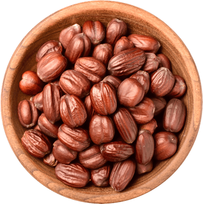 Jojoba seeds in a bowl.