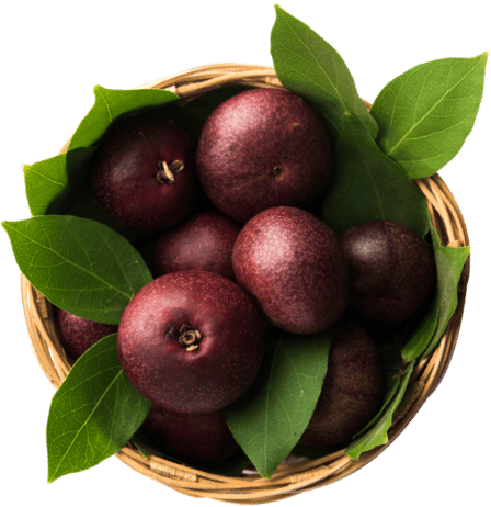 Kokum in a basket.