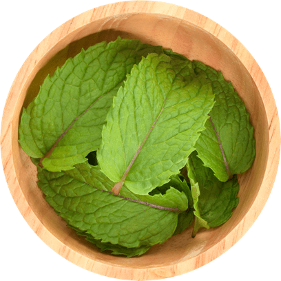 Mint in a bowl.