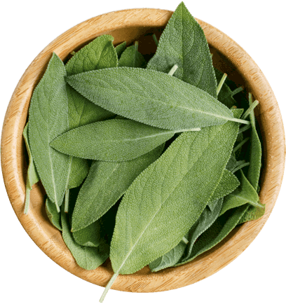 Sage in a bowl.