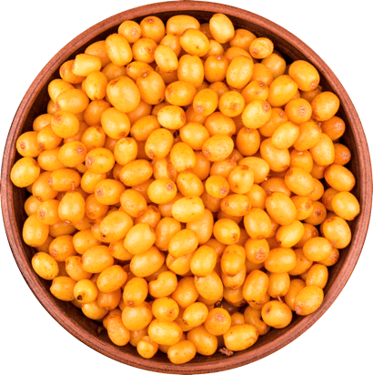 Sea buckthorn in a bowl.