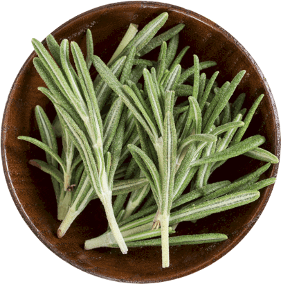 Rosemary in a bowl.