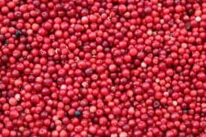 Cranberries