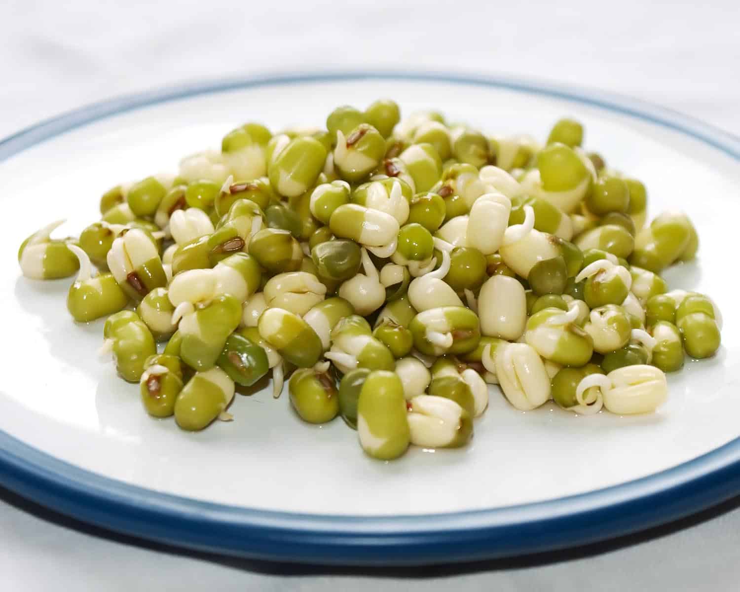 The Top 5 Benefits Of Mung Bean Explained What Are Mung Beans?