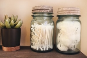 Cotton buds lined up next to plant. 