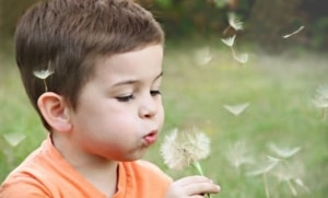 Kid blowing on a dandelion.